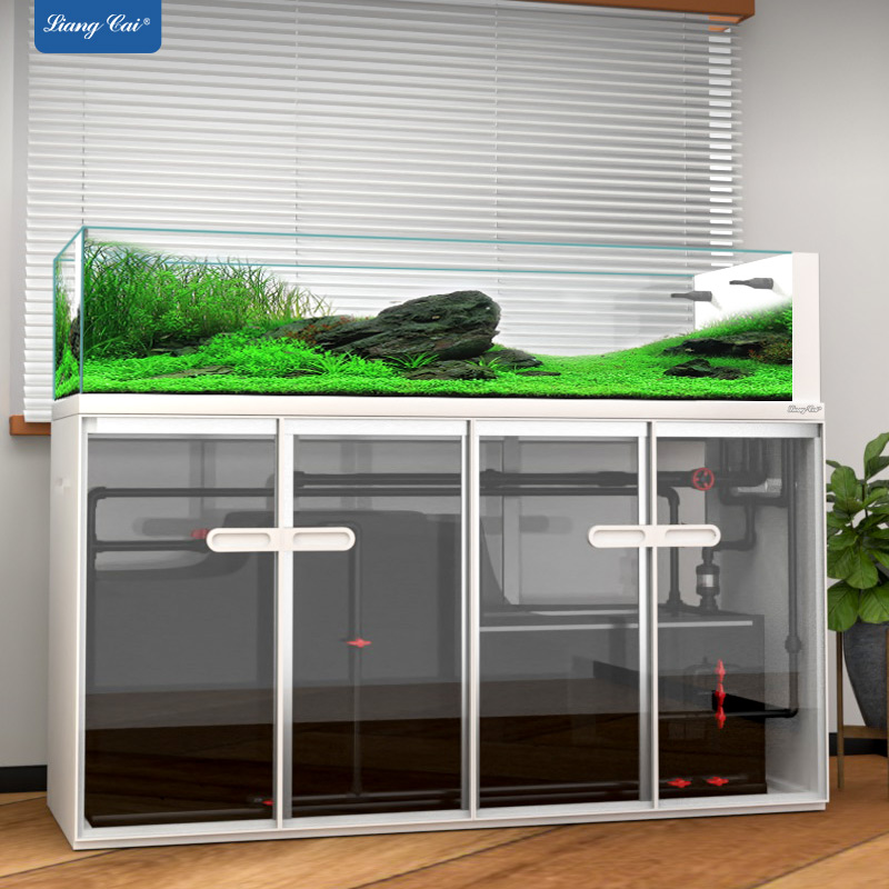 Aquarium Marine Fish For Sale - كبير الطراز الحديث خزان الأسماك الزجاجي