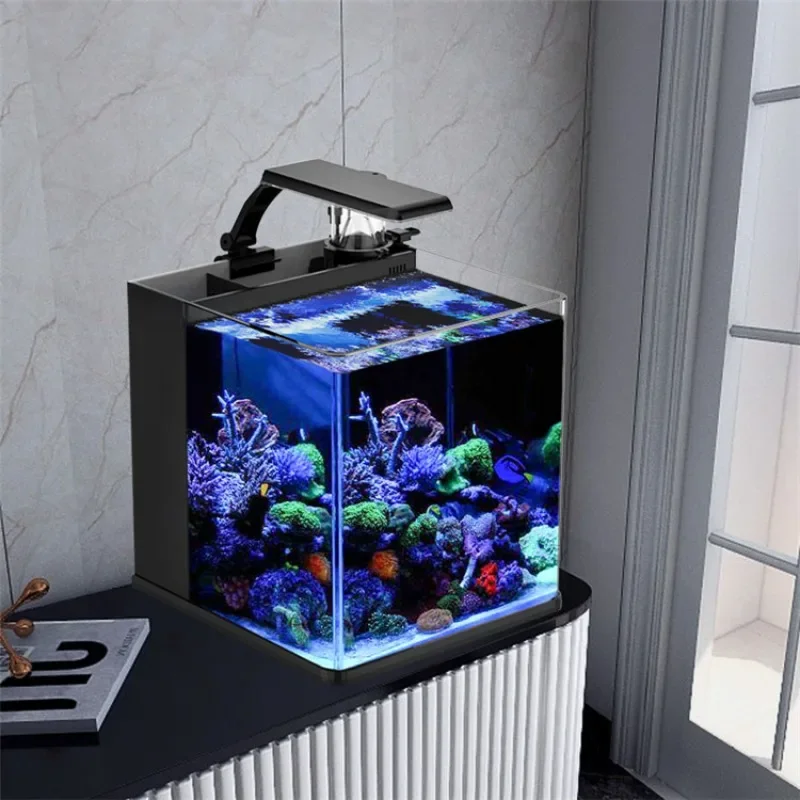 Aquarium Marine Fish For Sale - حوض أسماك بحرية صغير من الزجاج
