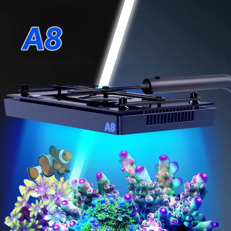 Marine Aquarium & Regional Centre Photos - إضاءة LED للأحواض المائية A8SE II