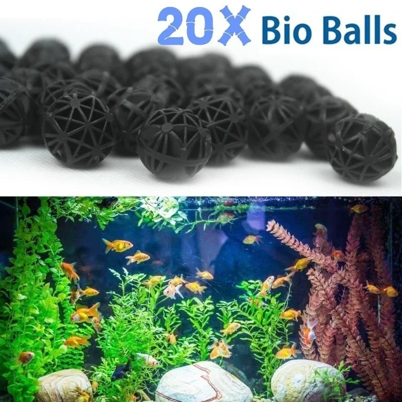 Marine Aquarium & Regional Centre Photos - 20 قطعة 16 مللي متر فلتر