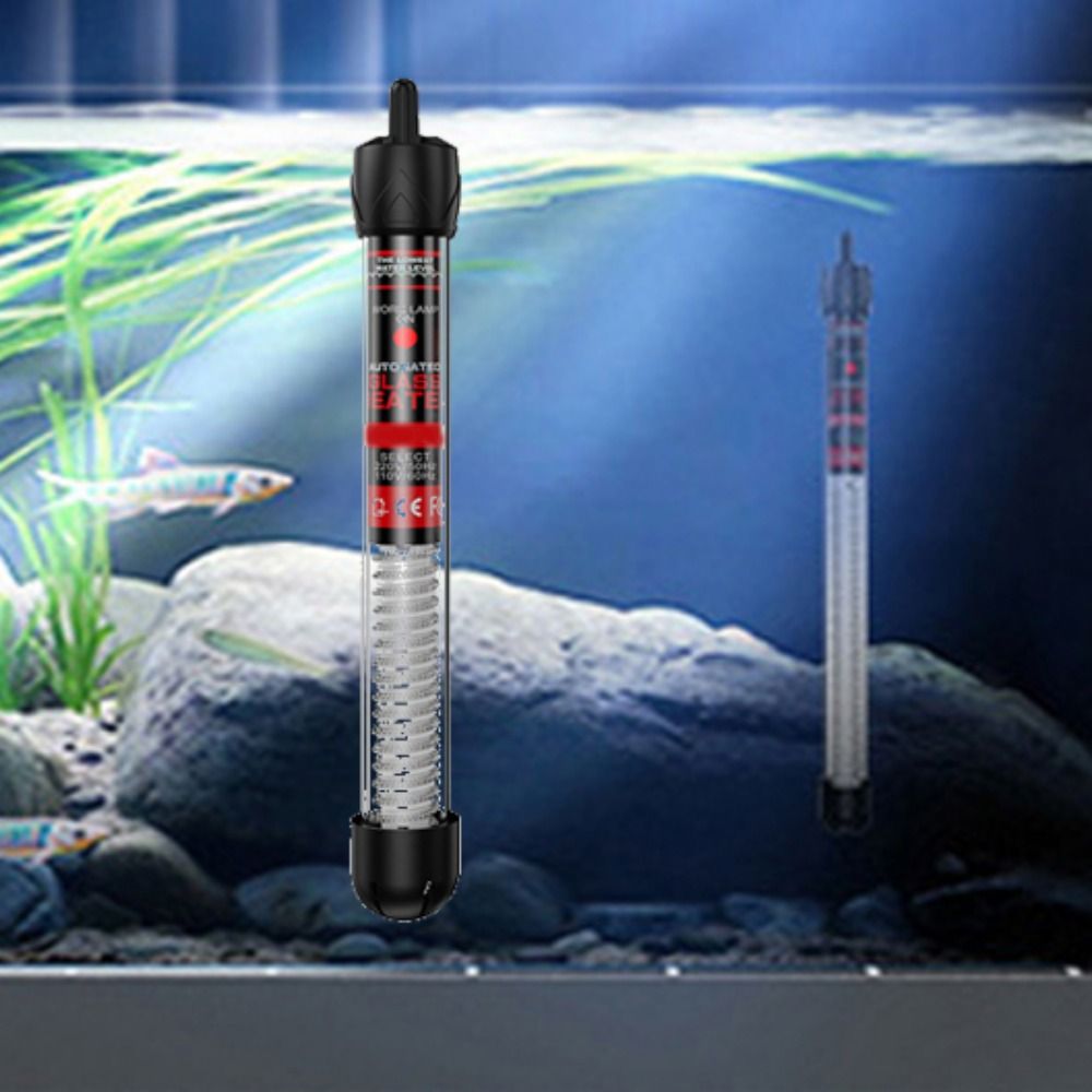 20-32 ° سخان حوض السمك 25-300  - مراجعة Marine Aquarium Temperature وسعره