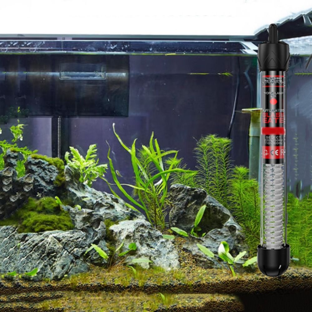 20-32 ° سخان حوض السمك 25-300  - مراجعة Marine Aquarium Temperature وسعره
