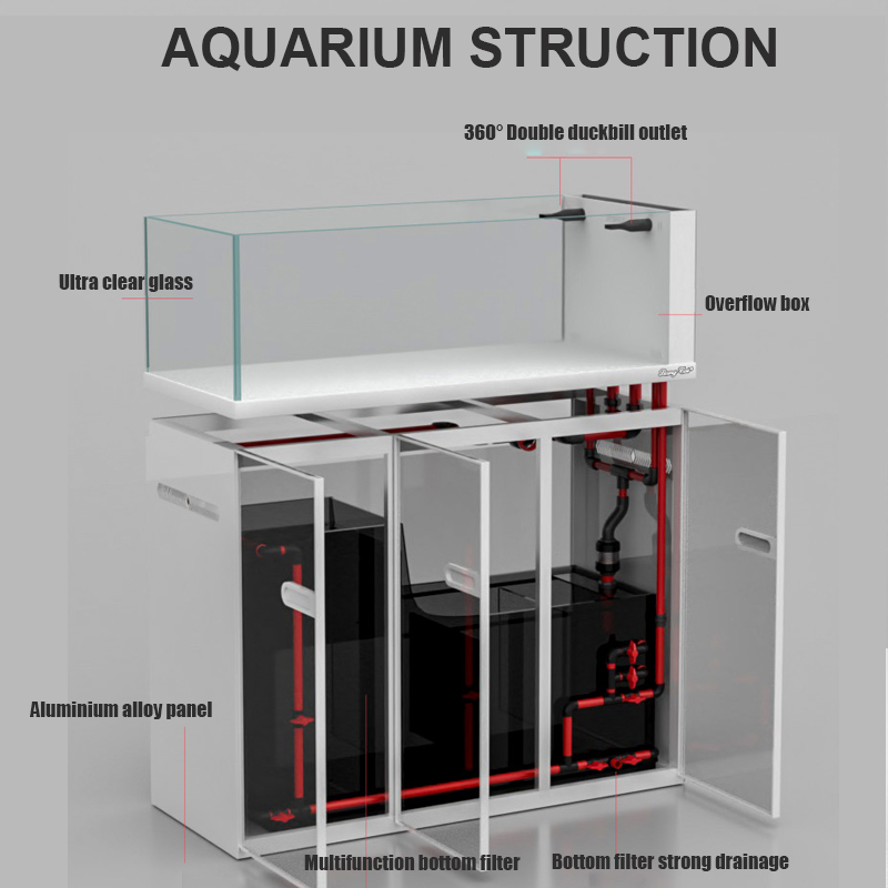 كبير الطراز الحديث خزان الأسما - مراجعة Aquarium Marine Fish For Sale وسعره