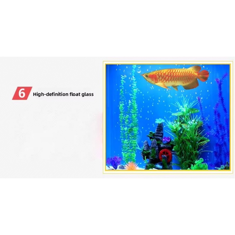 حوض سمك بحري كبير سعة 200 جالو - مراجعة Aquarium Marine Fish For Sale وسعره