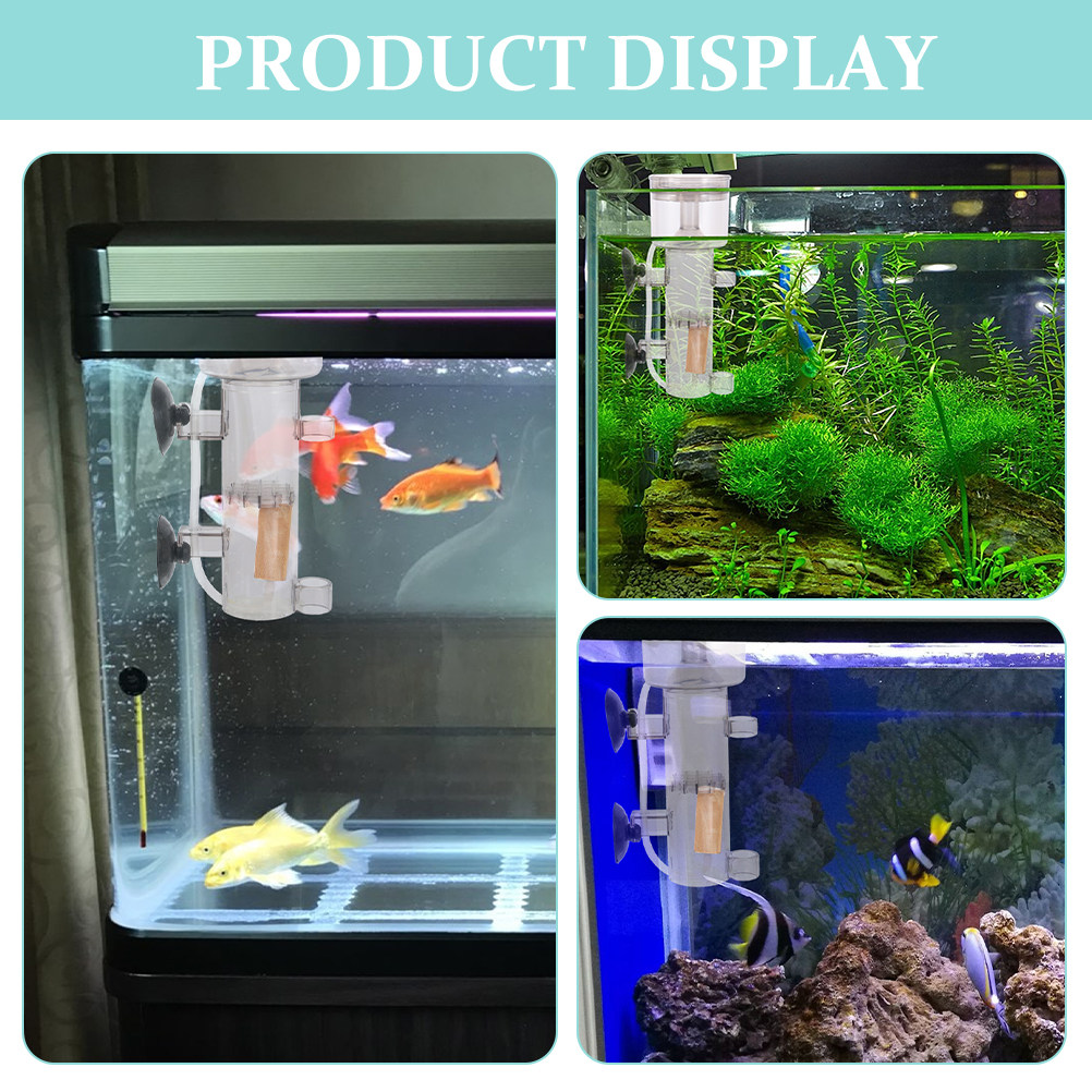 فاصل البروتين الأكريليك لحوض ا - مراجعة Marine Aquarium & Regional Centre Photos وسعره
