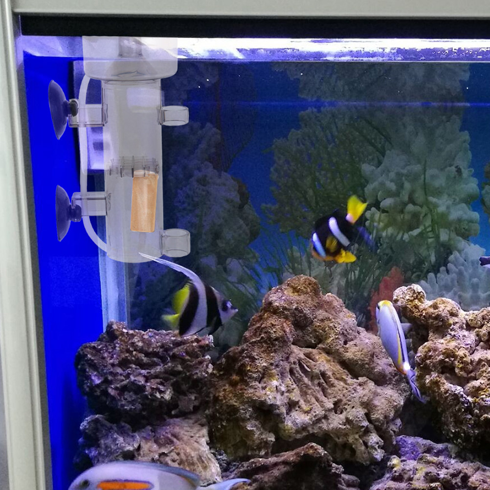 فاصل البروتين الأكريليك لحوض ا - مراجعة Marine Aquarium & Regional Centre Photos وسعره