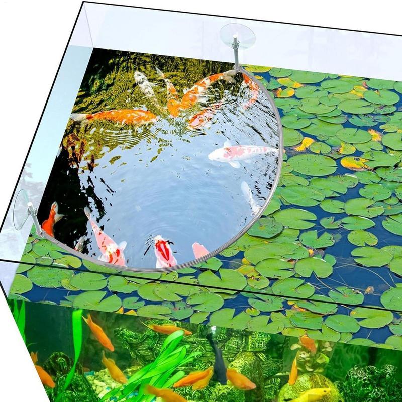 حلقة تغذية الأسماك المرجانية ل - مراجعة Aquarium Marine Filter وسعره