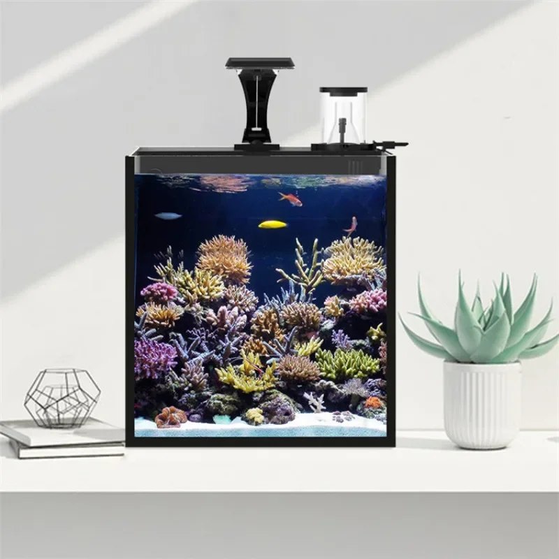 حوض أسماك بحرية صغير من الزجاج - مراجعة Aquarium Marine Fish For Sale وسعره