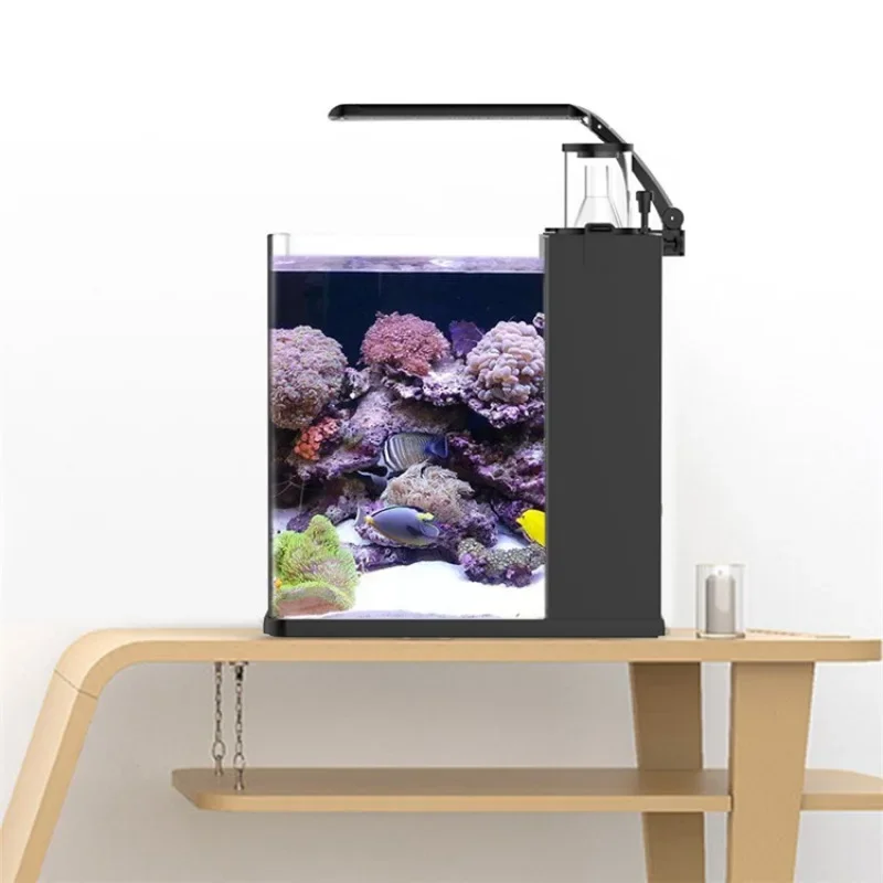 حوض أسماك بحرية صغير من الزجاج - مراجعة Aquarium Marine Fish For Sale وسعره