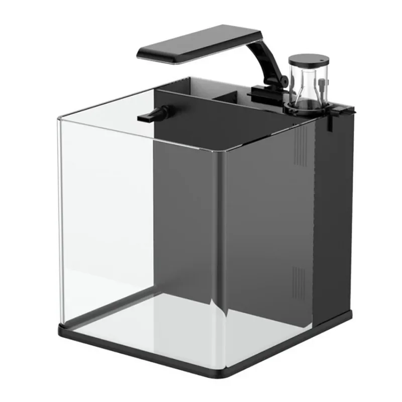حوض أسماك بحرية صغير من الزجاج - مراجعة Aquarium Marine Fish For Sale وسعره